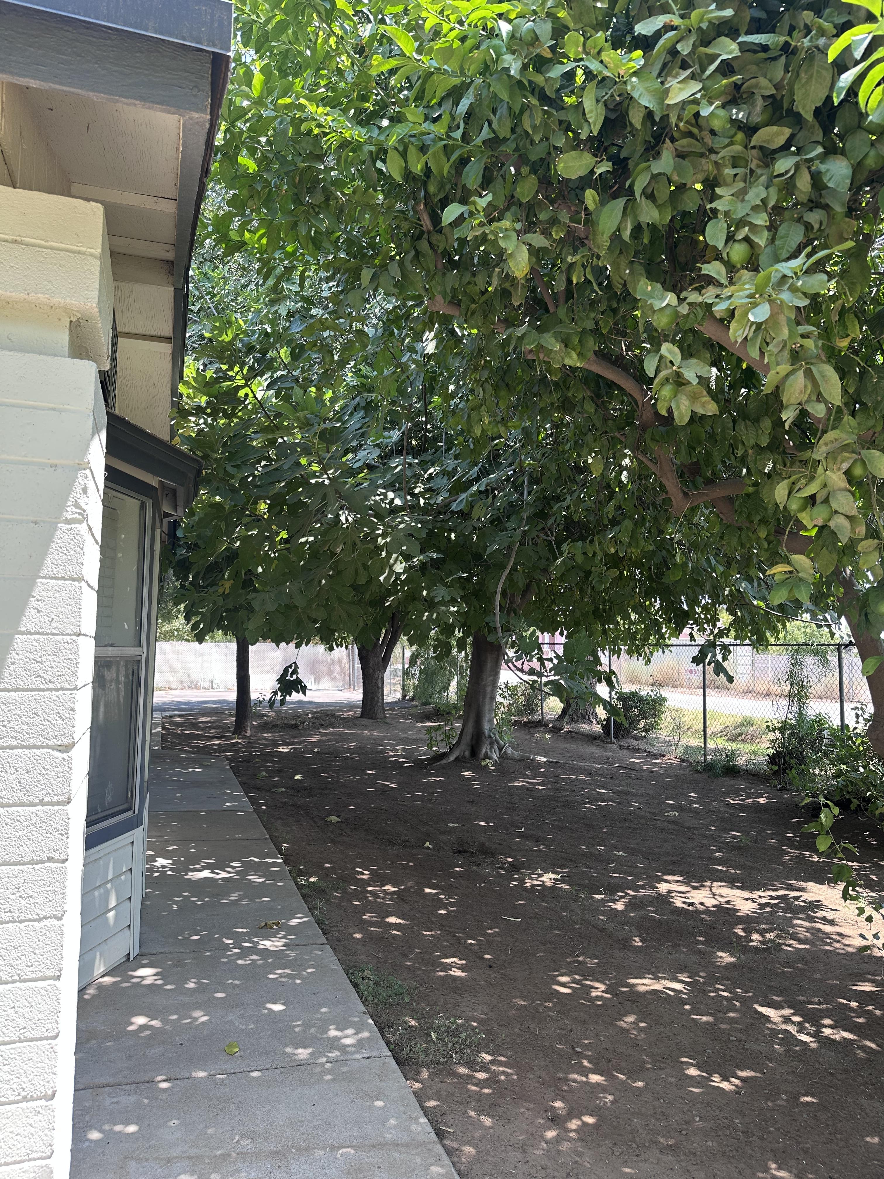 12114 E Victoria St – photo 5