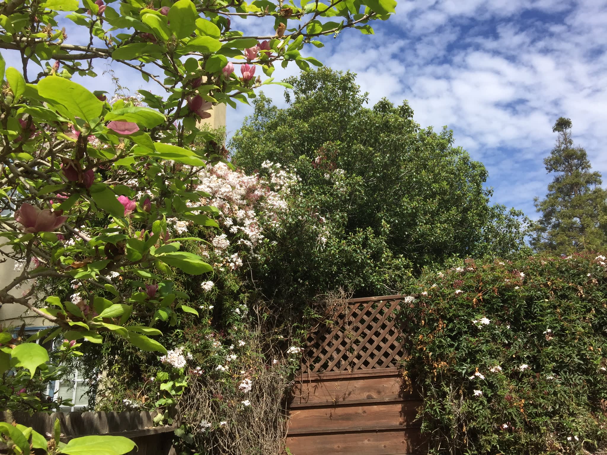 87 Ardmore Road – photo 3
