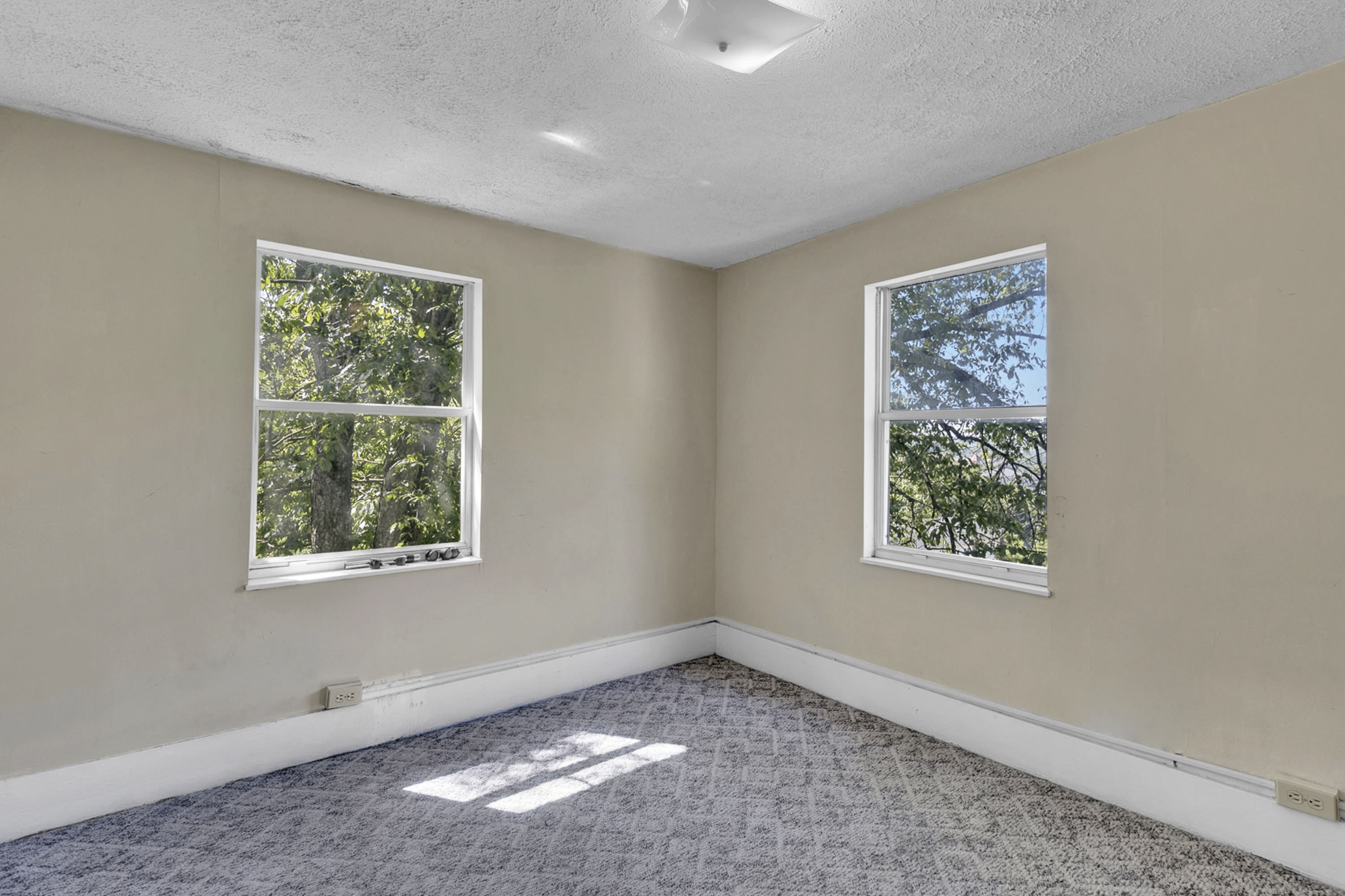 352 Stewart Street – photo 4