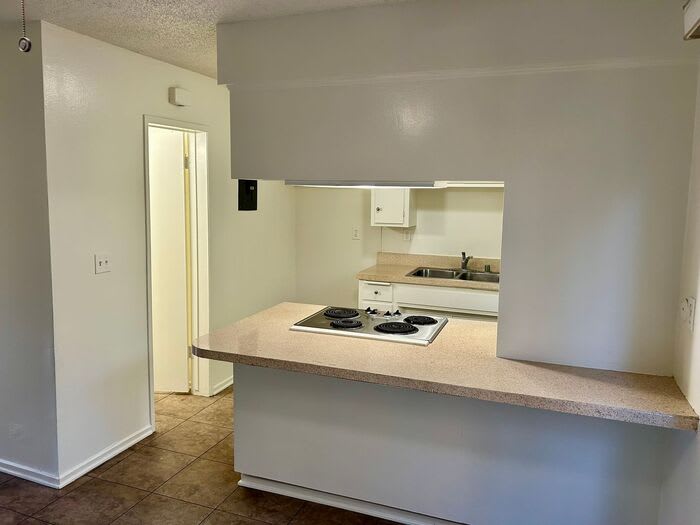 2437 Daphne Place – photo 5