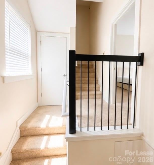 617 Mcninch Street – photo 3