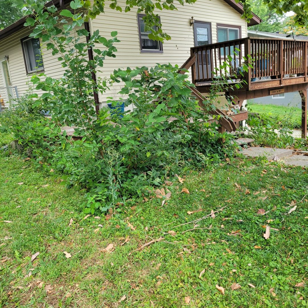 Charming 3BR House in Plattsmouth – photo 2