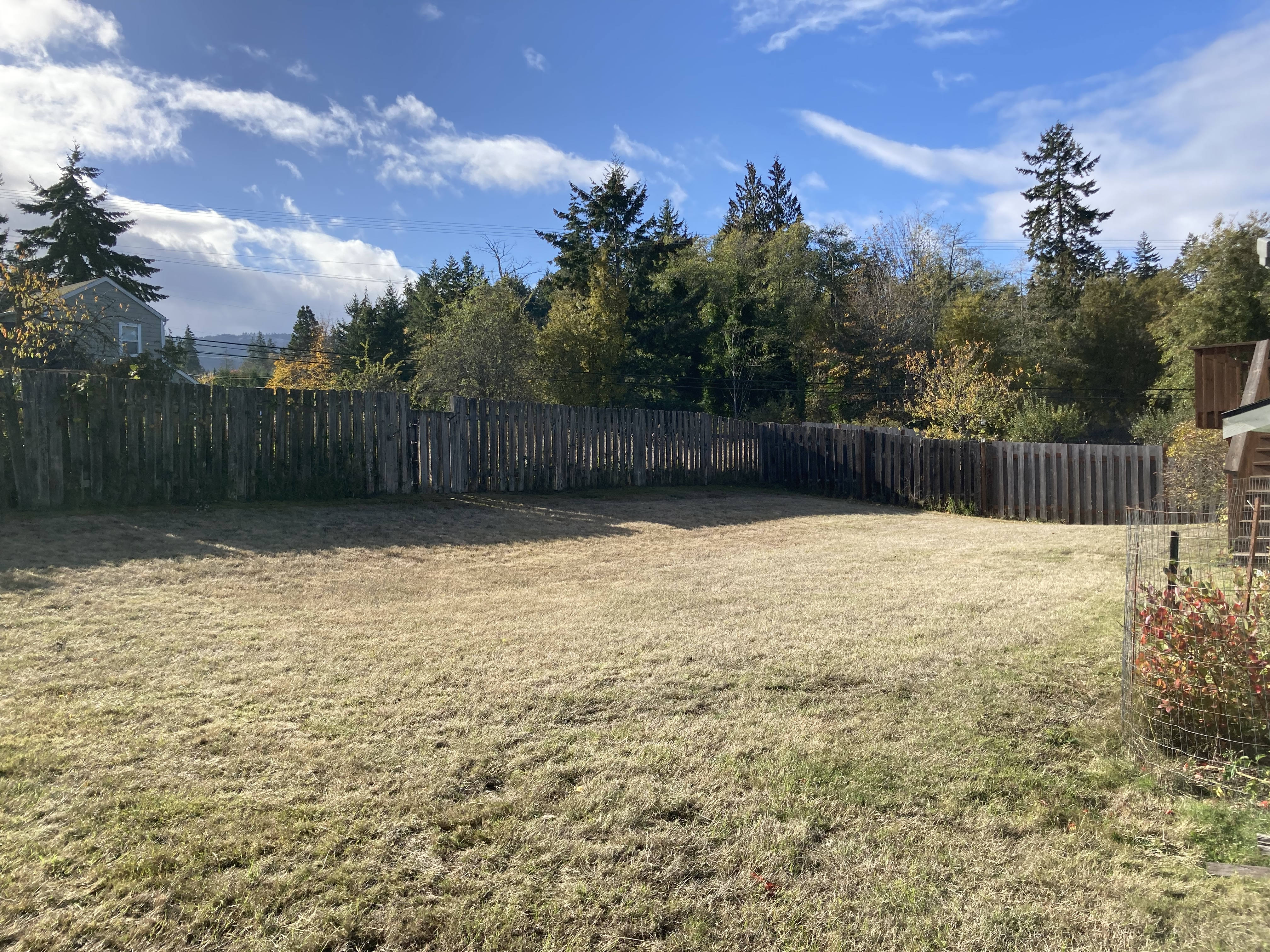 1018 Olympus St – photo 4