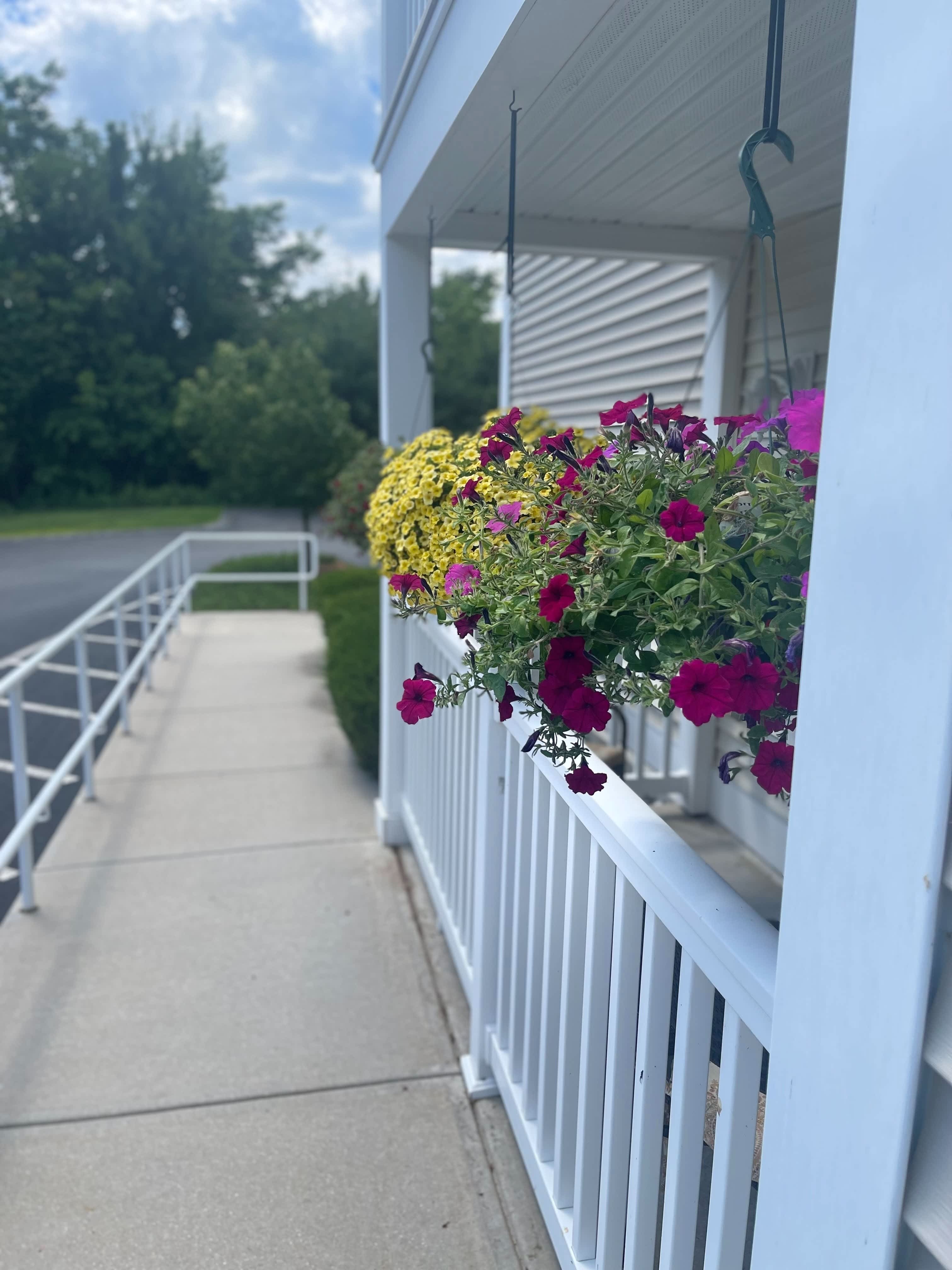 Allards Grove – photo 1