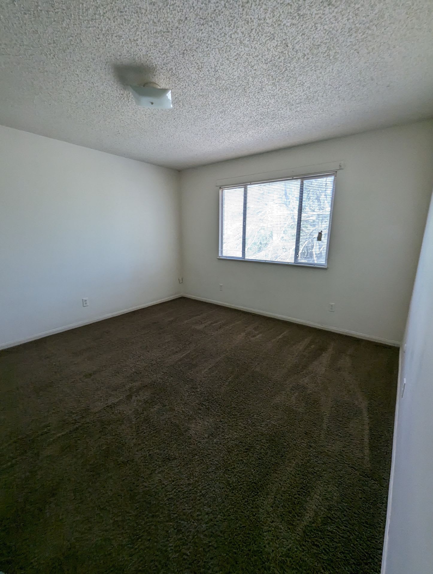 Woodsdale Apartments – photo 3