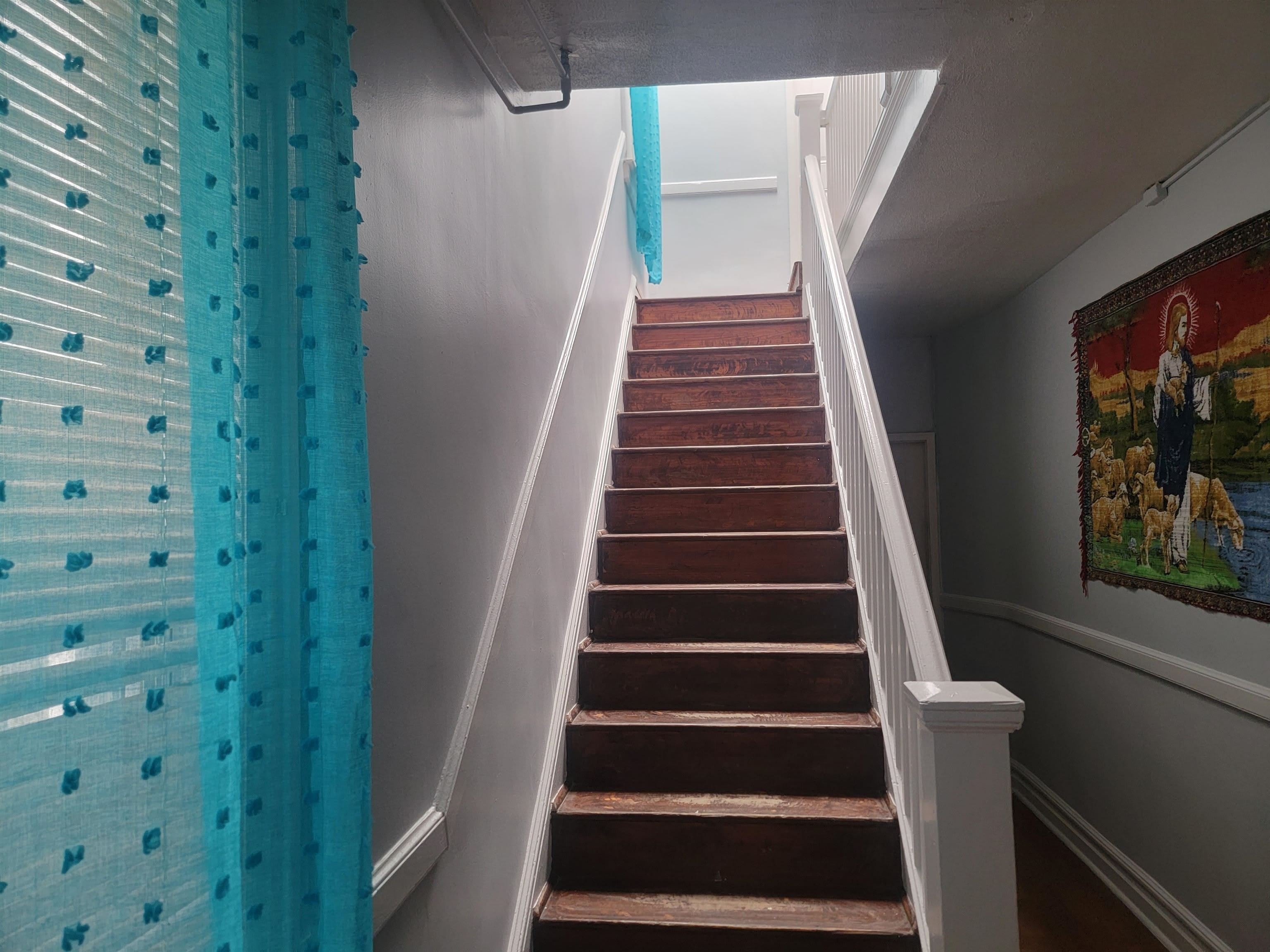 291 CATOR AVE – photo 2
