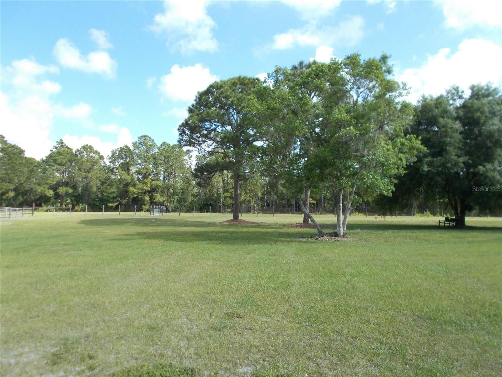 6960 Malton Street – photo 3