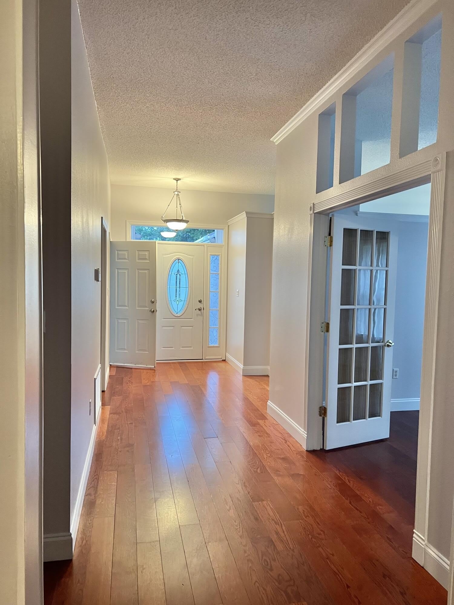 4204 Whitetail Circle – photo 5