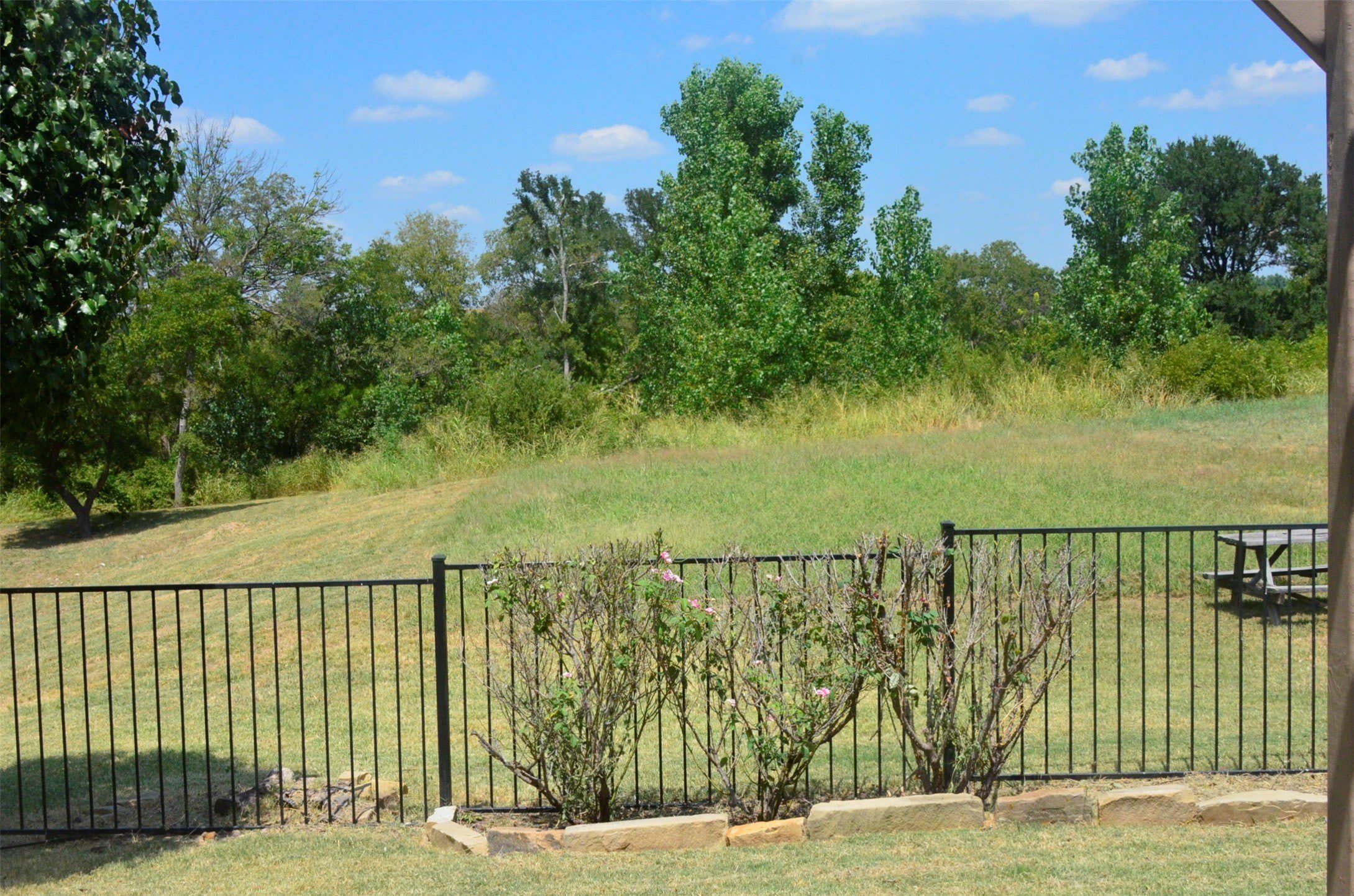 981 Crockett Drive – photo 5