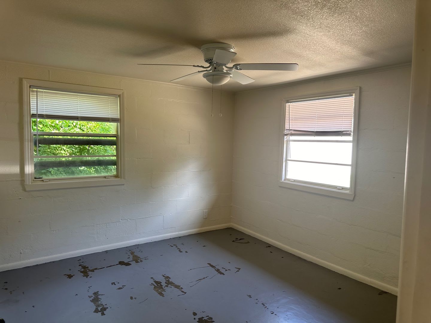 412 C Cedar Ave – photo 5