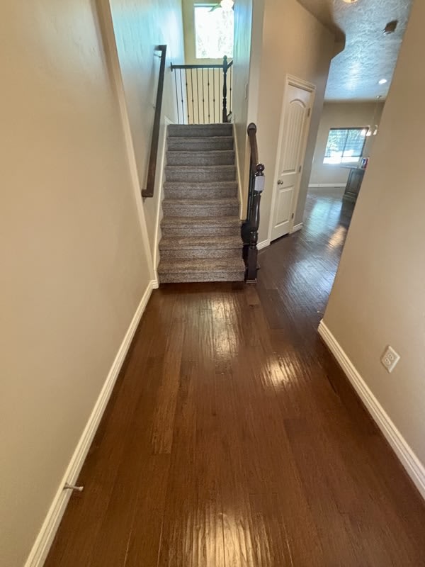 215 East 1135 South – photo 5
