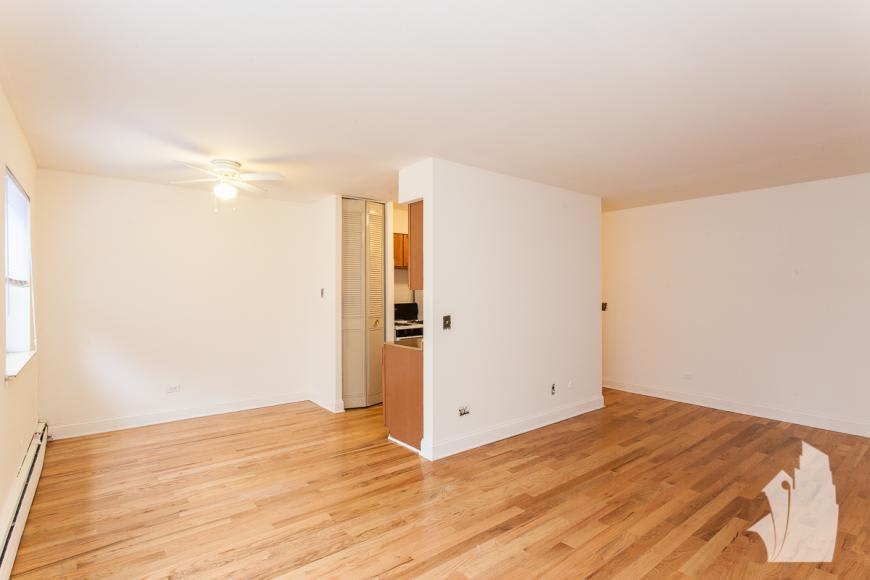 509 W Briar Pl – photo 4