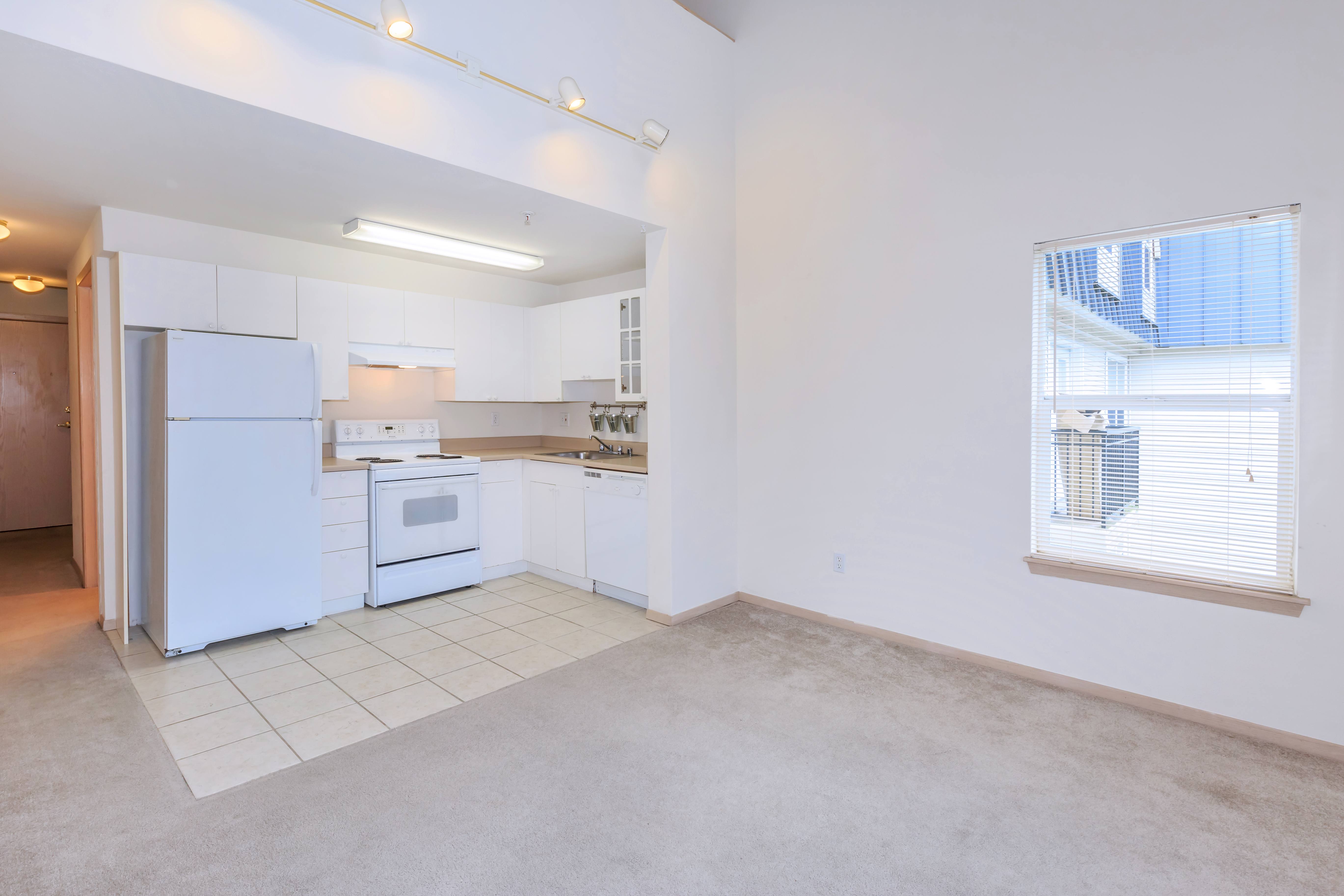 Clearwater and Star Apartments – photo 3