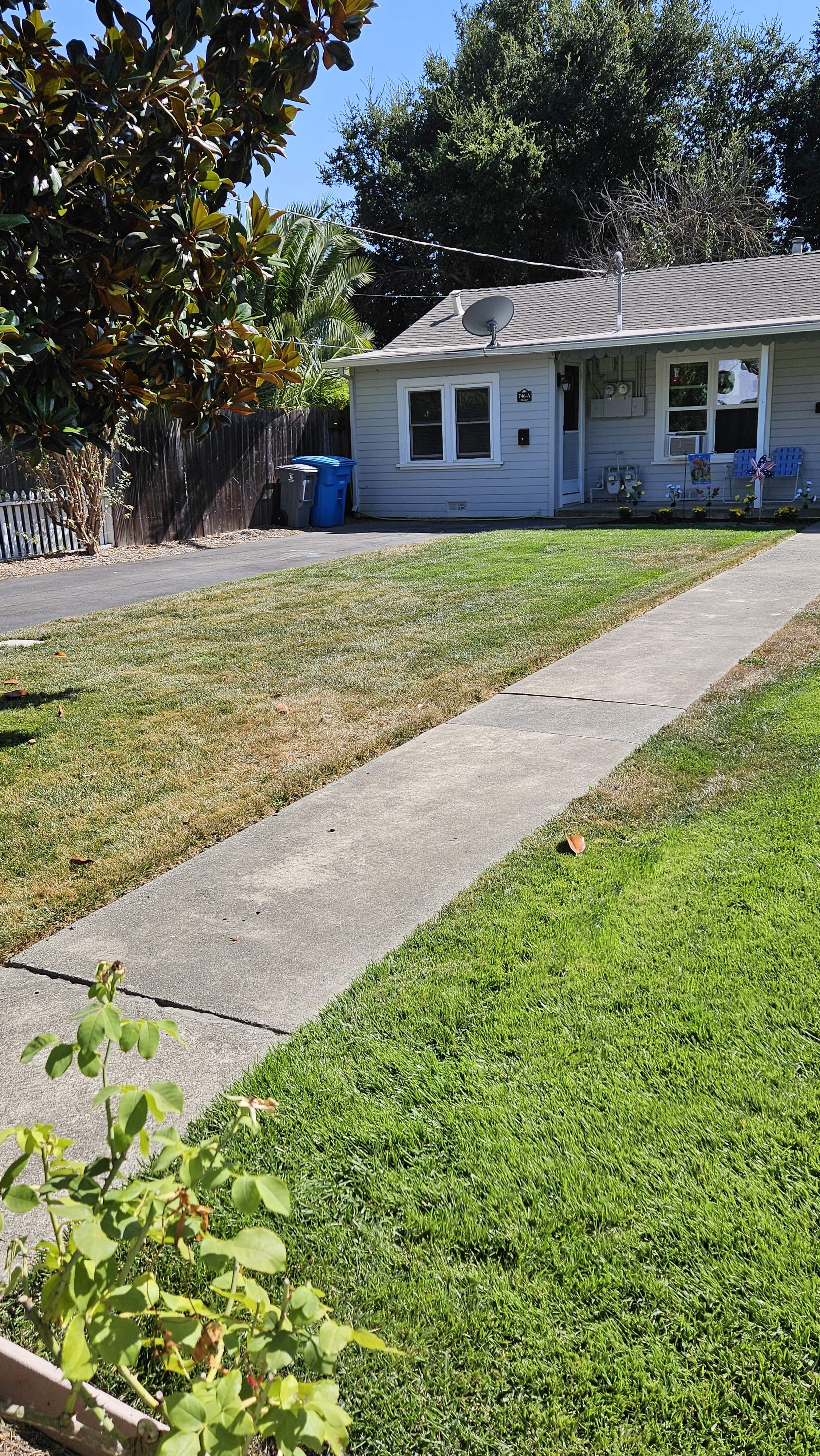 746 A Dexter Street – photo 2