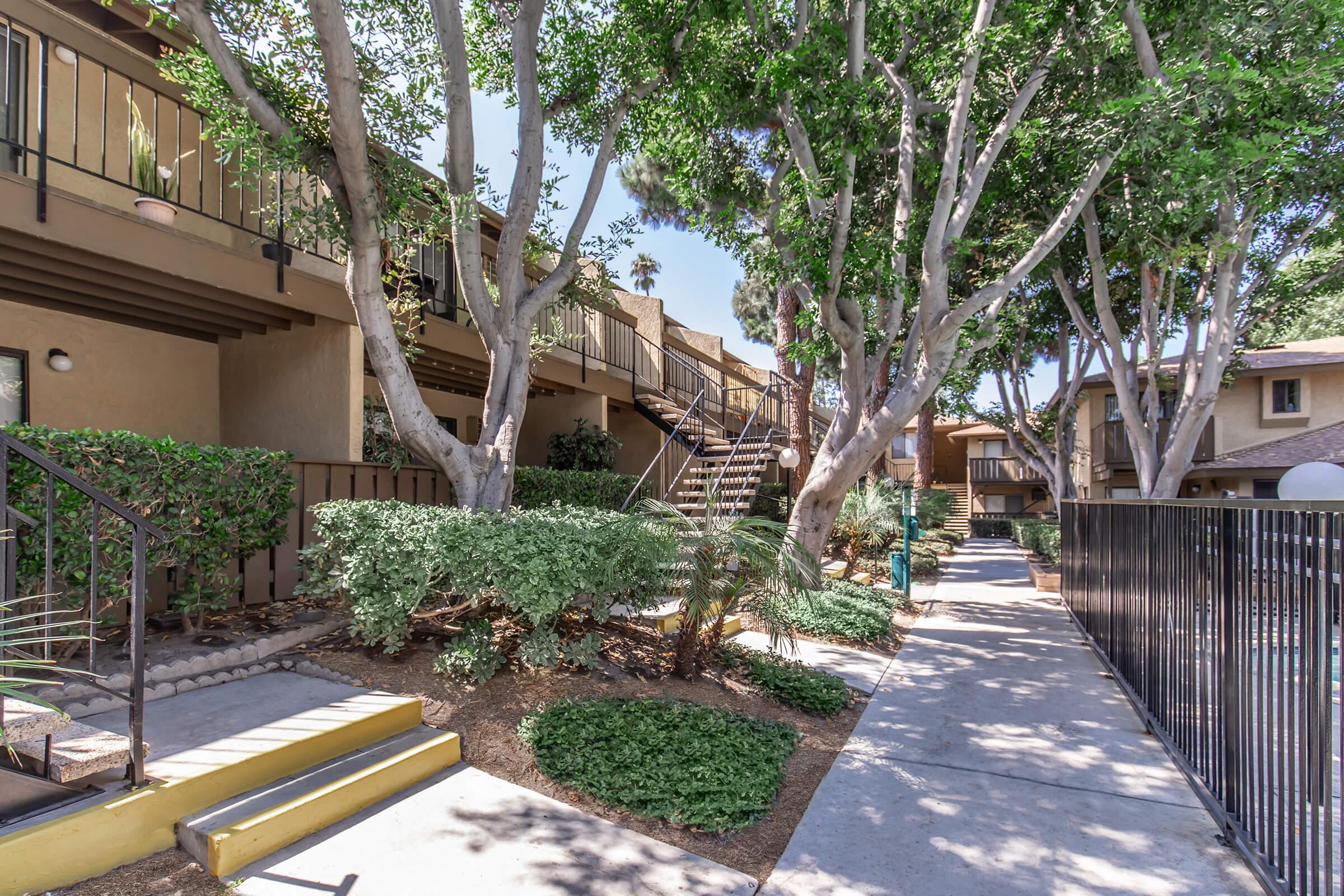 Palm Lane Apartment Homes – photo 2