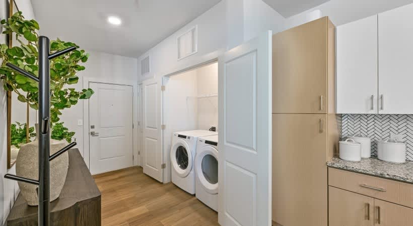Madison Apex – photo 4