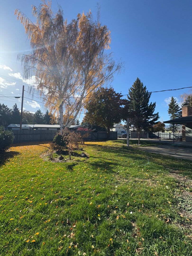 Expansive Updated Home With Creek Views Prime Location – photo 4