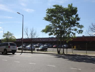 601 Albany – photo 3