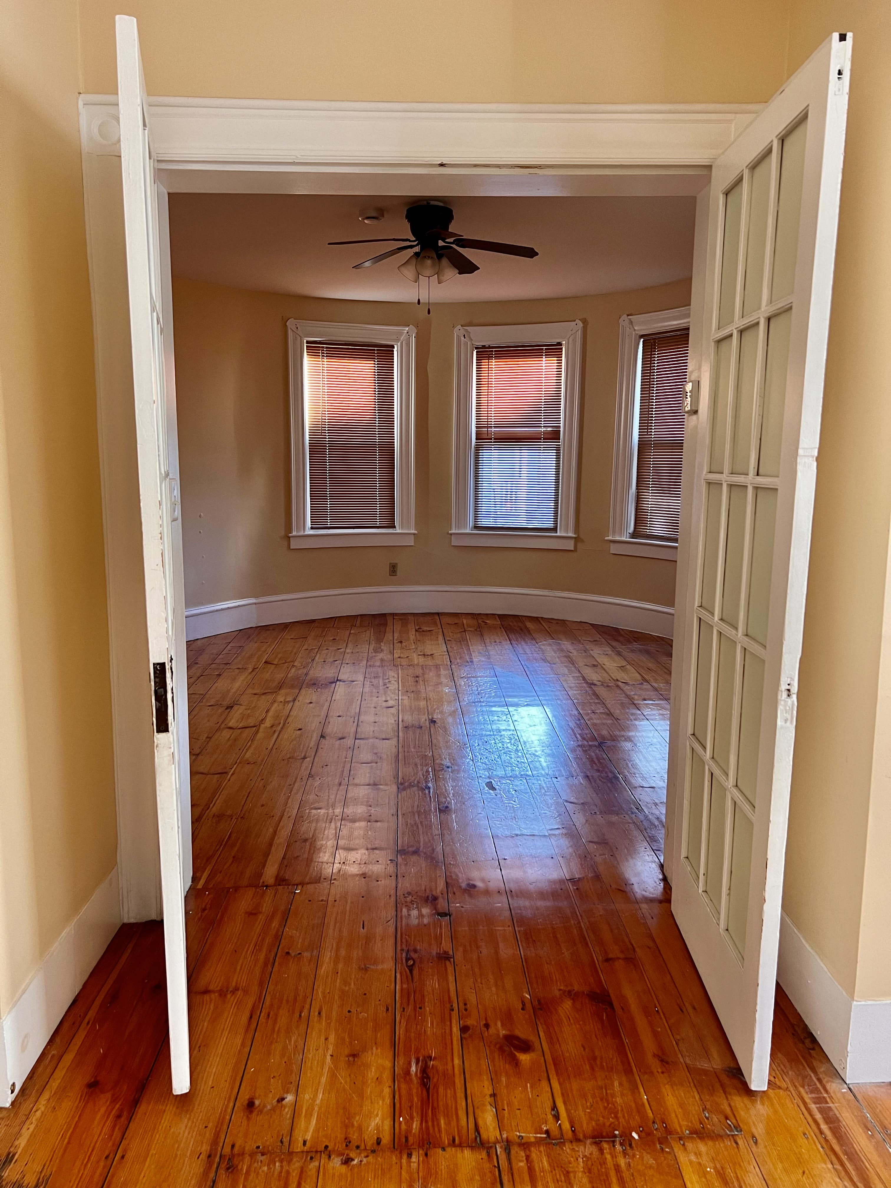 118 Palm Street – photo 4