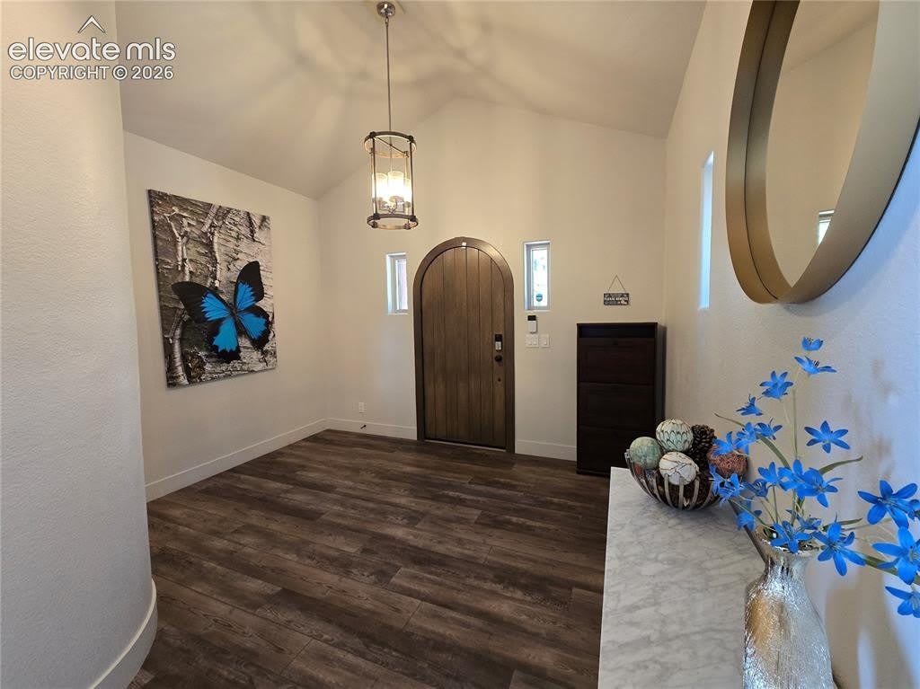 310 Spring Creek Drive – photo 3