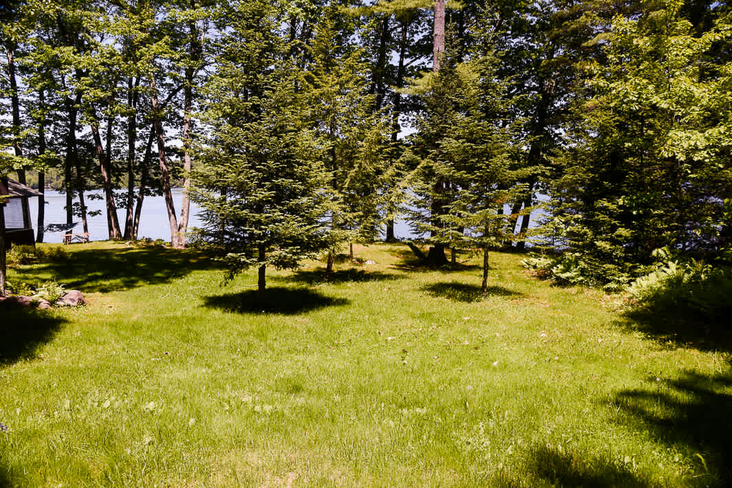 29 Wood Duck Way – photo 5