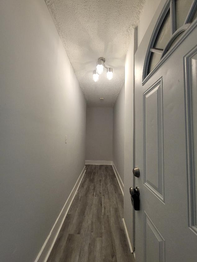 500 Winchester Avenue 1st floor Apt – photo 3
