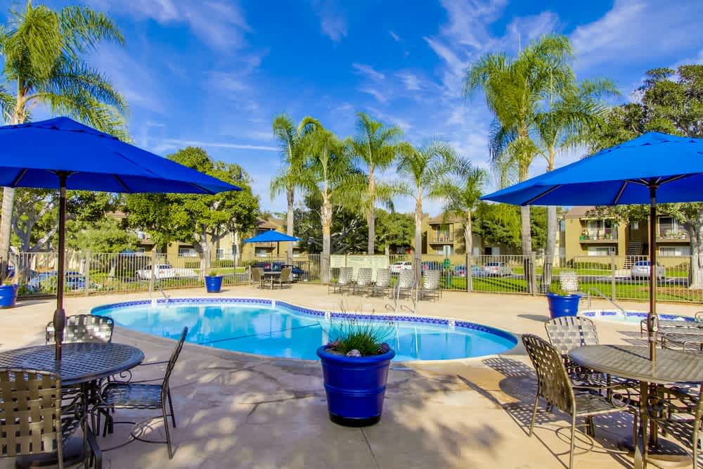 Mesa Village – photo 1