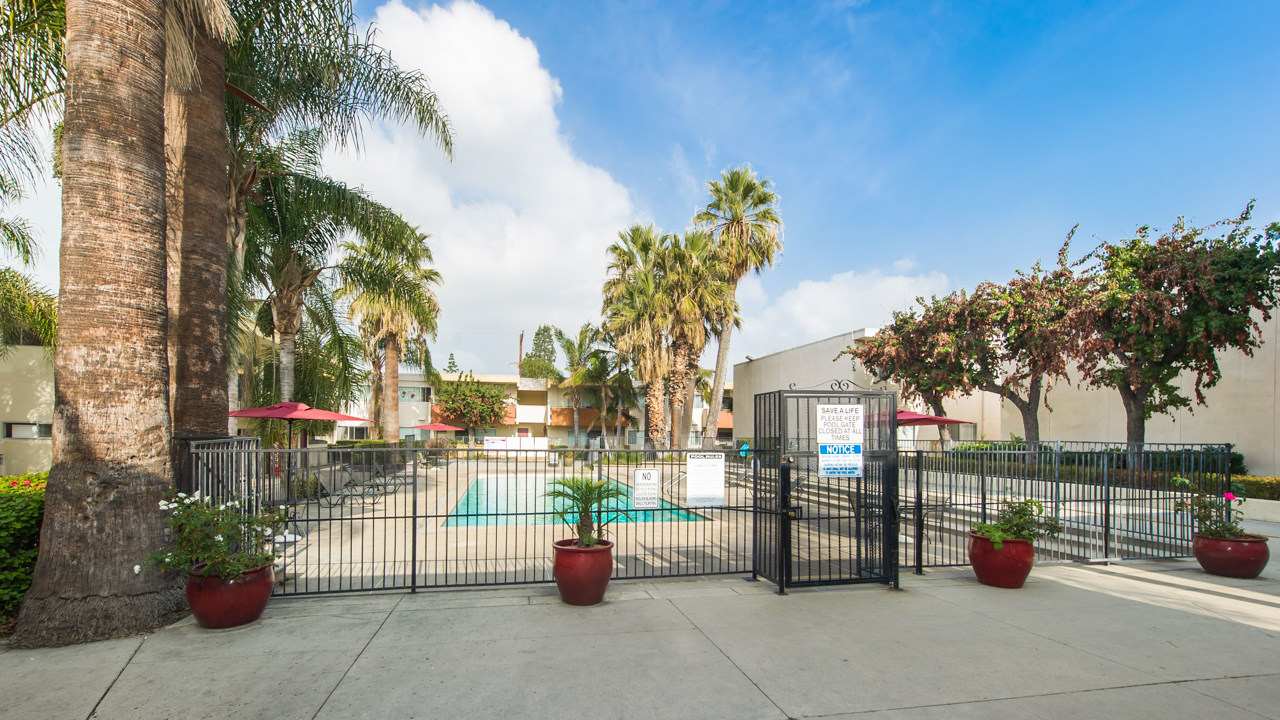 Las Palmas Apartments – photo 5