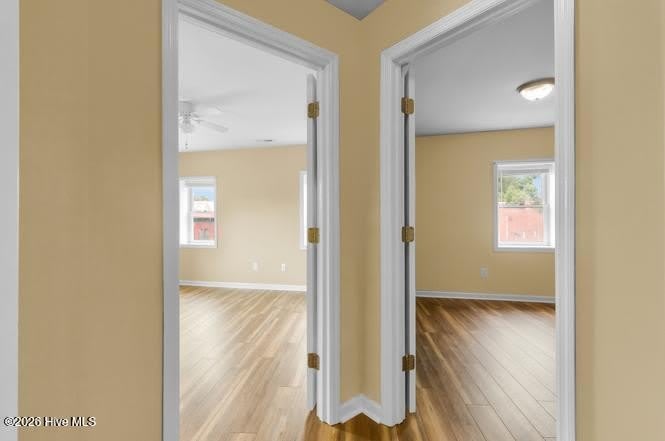 501 Queen Street – photo 1
