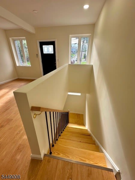 92 Bloomfield Ave – photo 5