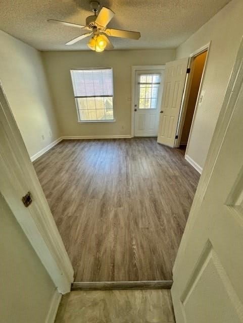 2820 Saw Palmetto Lane – photo 5