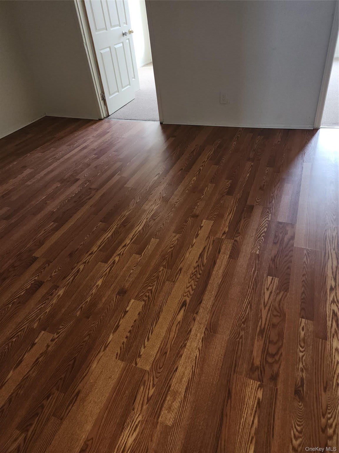 205 11 Hollis Avenue – photo 2