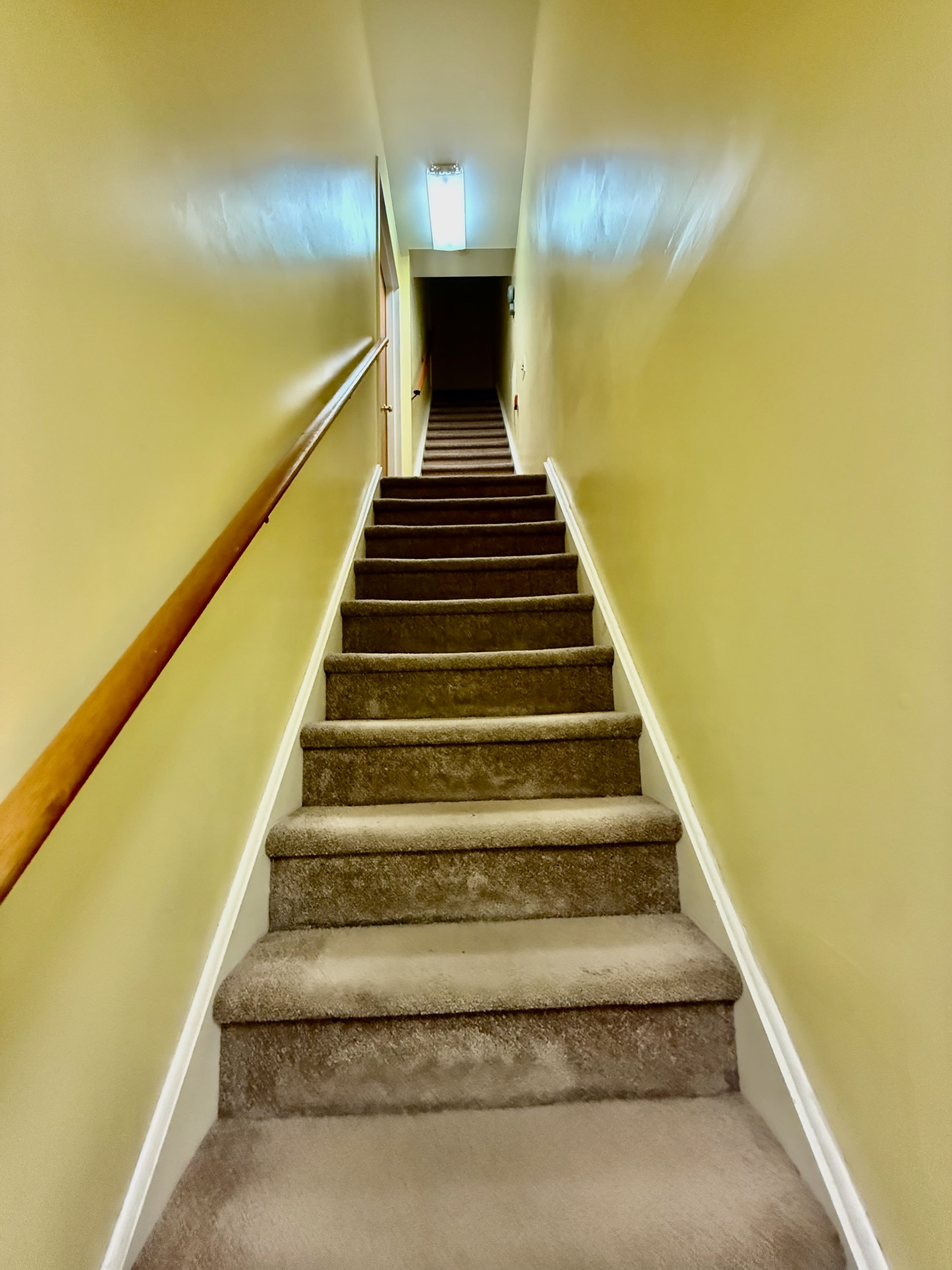 2528 Christian Street – photo 4