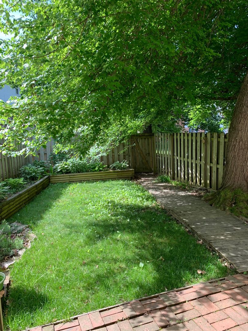 3 Bedroom 1 full, 2 half bath Townhouse – photo 3
