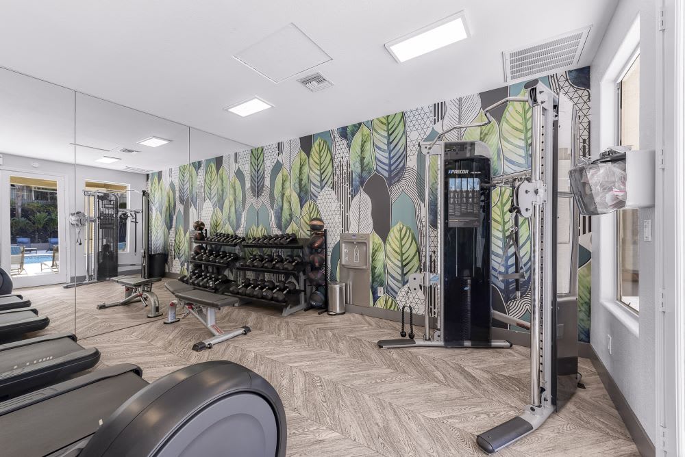 Sofi Canyon Hills – photo 2