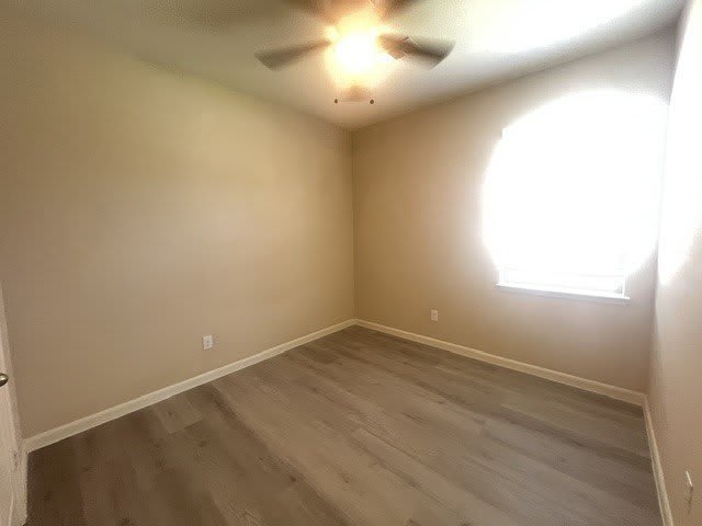 316 Sweet Pea Lane – photo 4