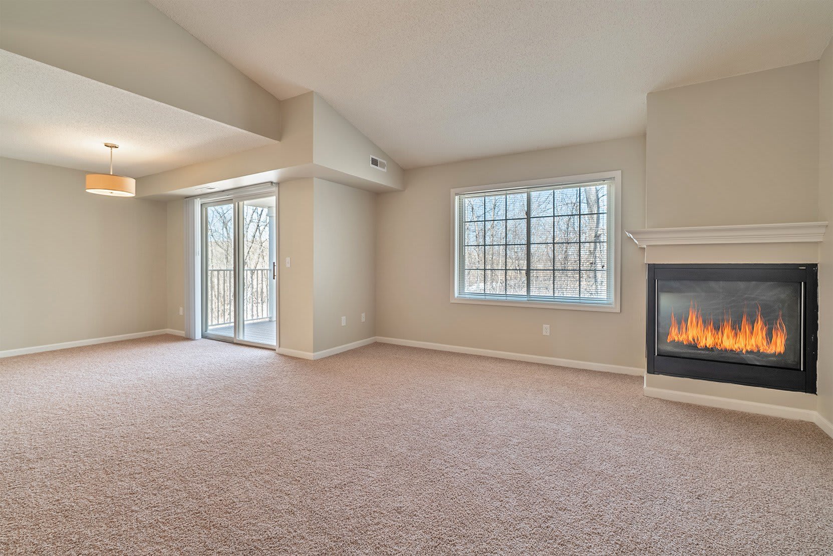 Raspberry Woods Townhomes – photo 3