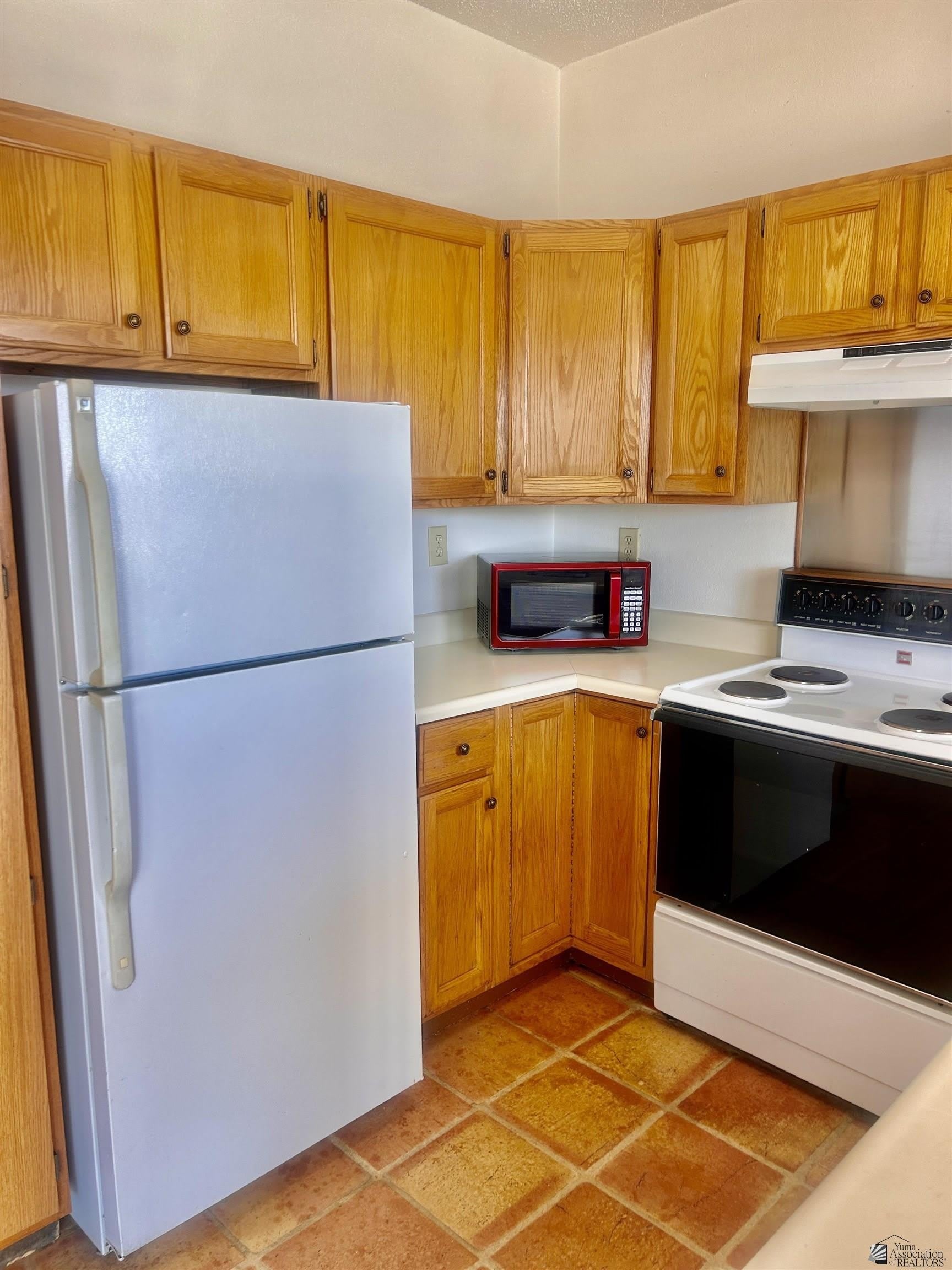 12255 S El Camino Del Diablo – photo 2