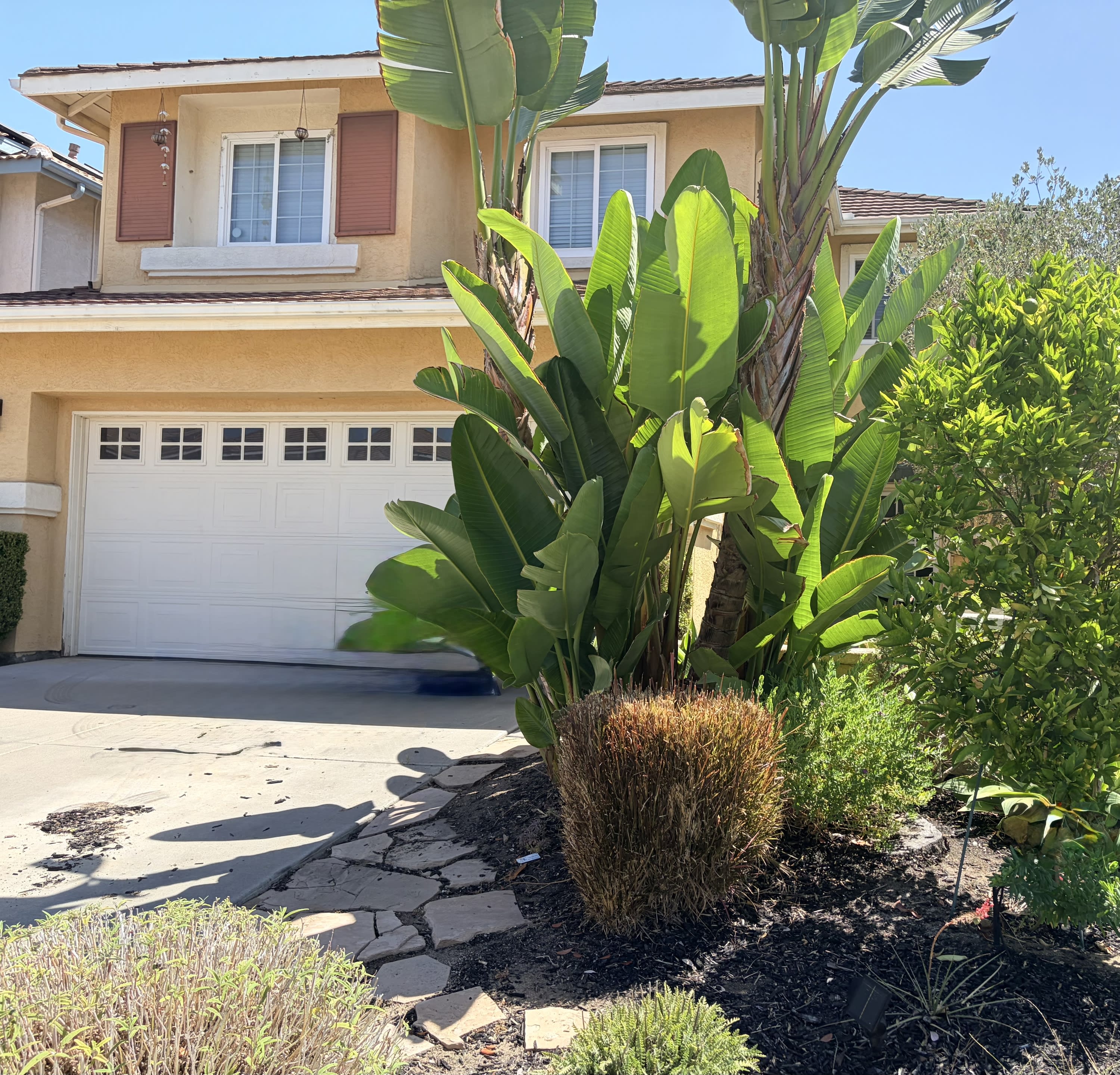545 Sonoma Street – photo 2