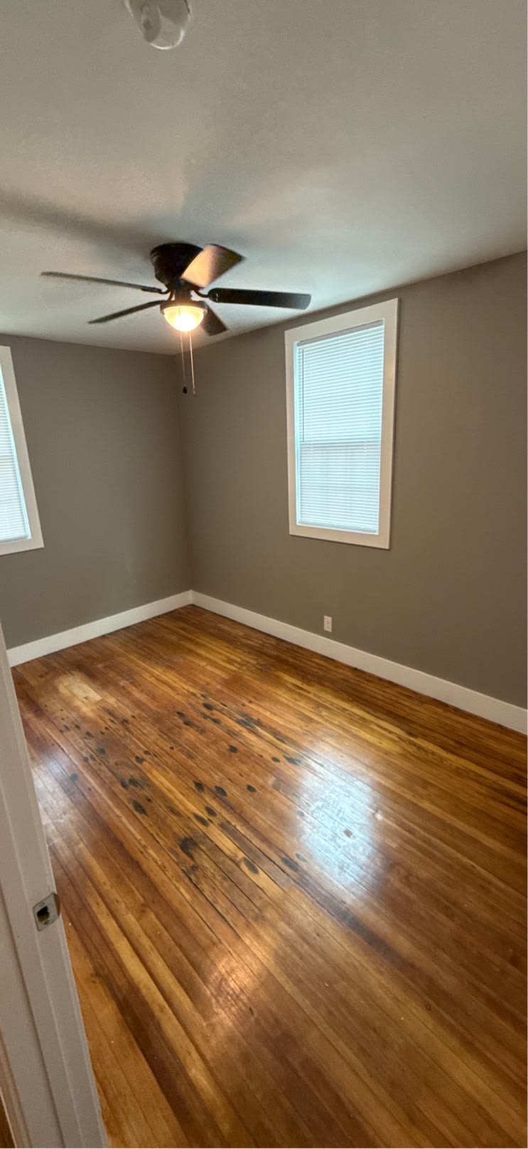 407 Cedar Street – photo 4