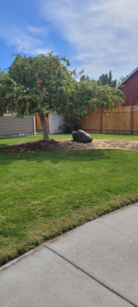 Cozy home on large lot w/fenced backyard – photo 3