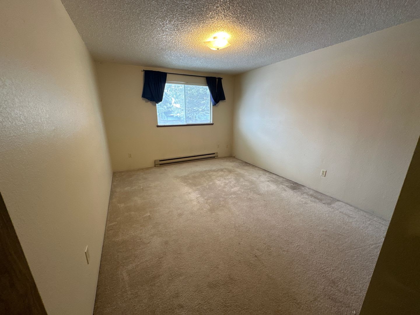 wil503 – photo 4