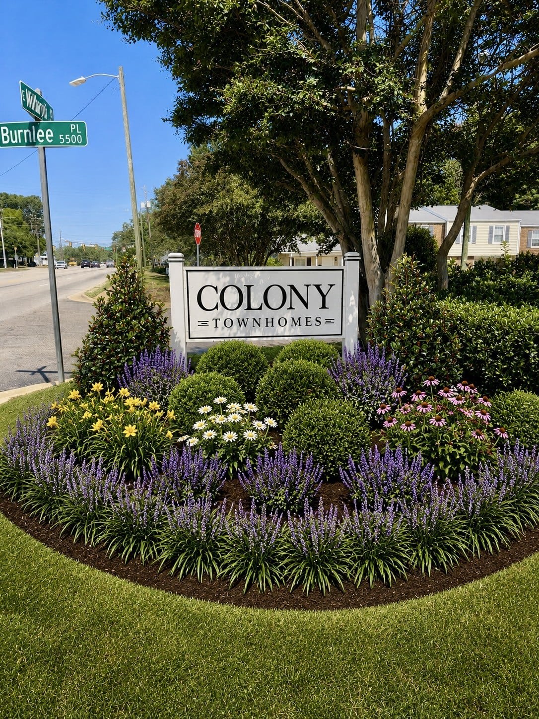 Colony Townhomes – photo 1