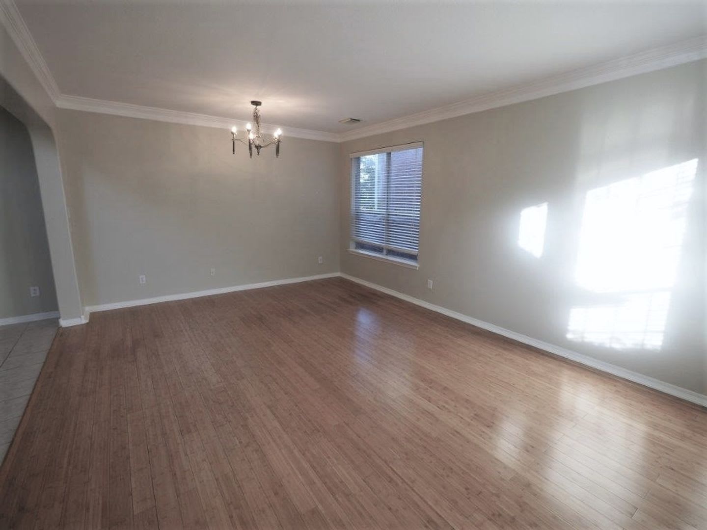 Desirable 4 bedroom home in BEAUTIFUL Steiner Ranch! – photo 5