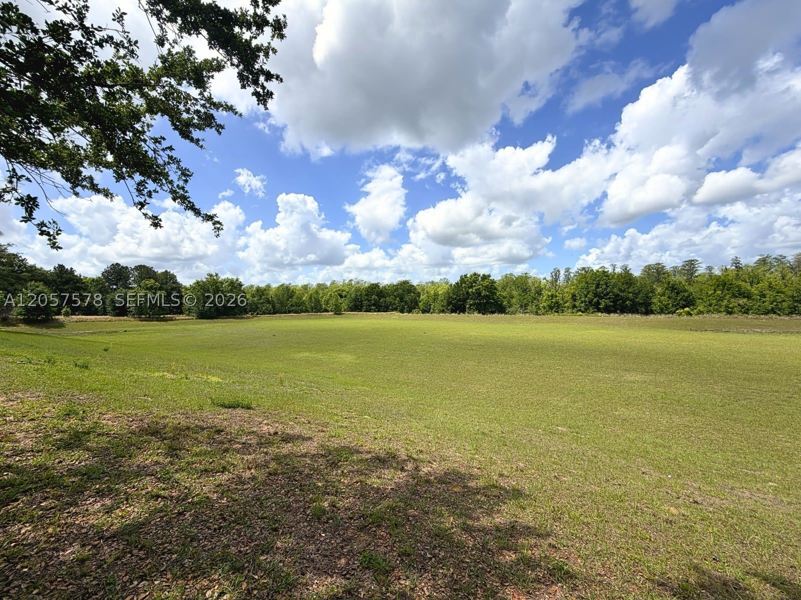 233 Aldridge Ln – photo 2