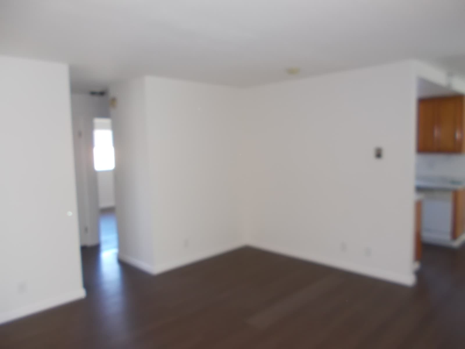 683 Shepherd Ave – photo 3