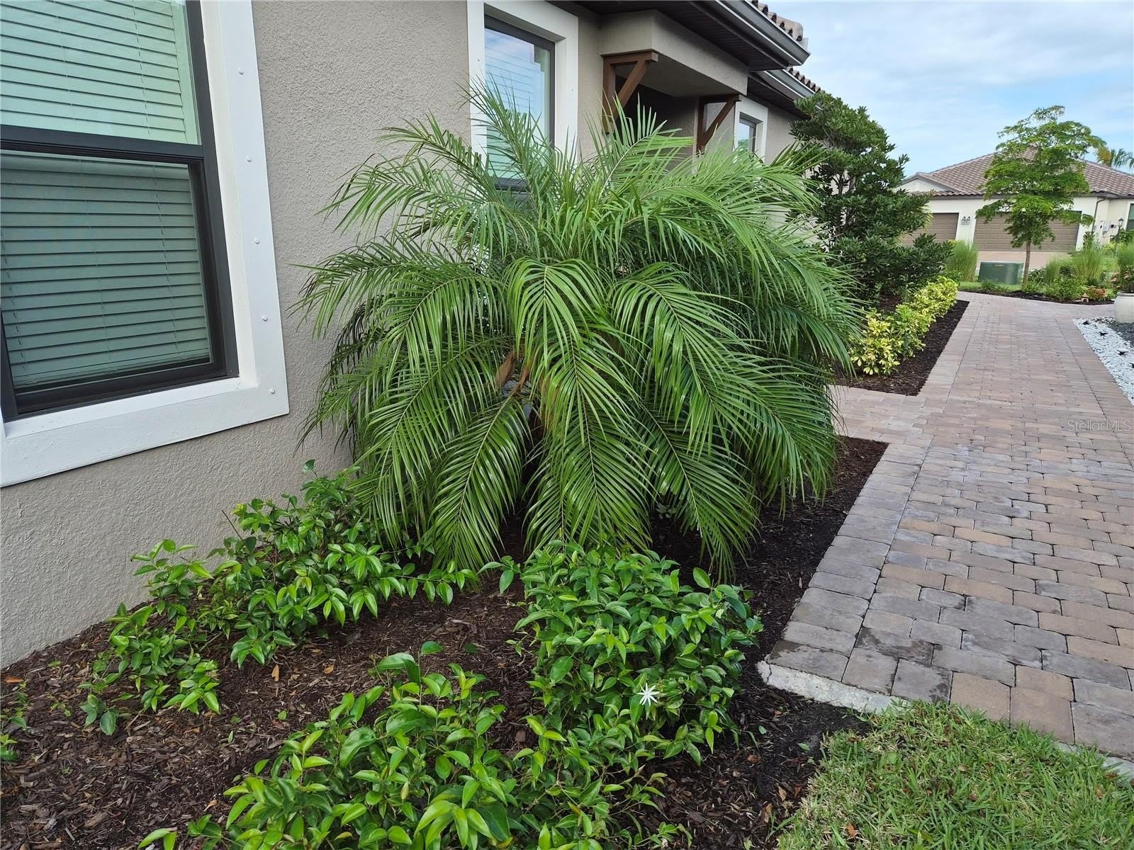 10057 MORNING MIST Lane – photo 3