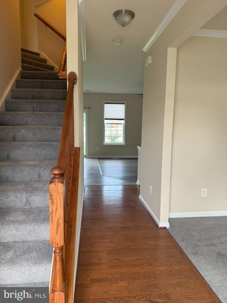 1231 STALLION Street – photo 3