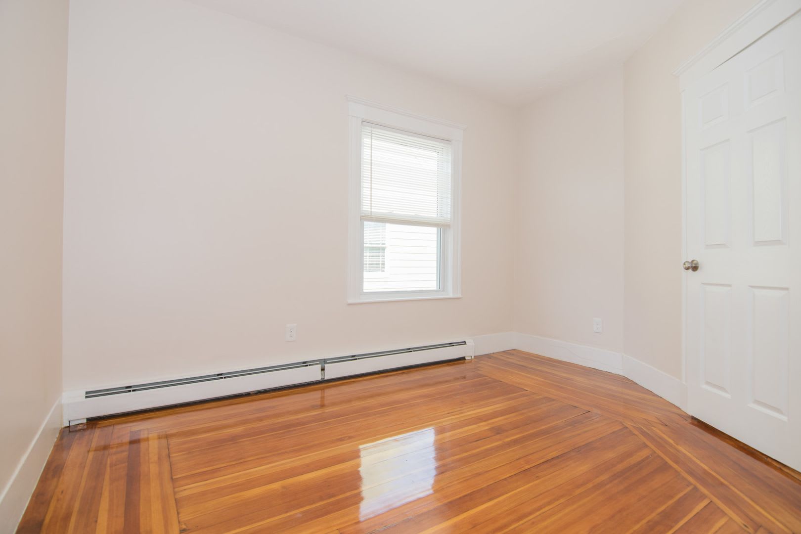 Beautiful and Spacious 4 bed2 bath – photo 2