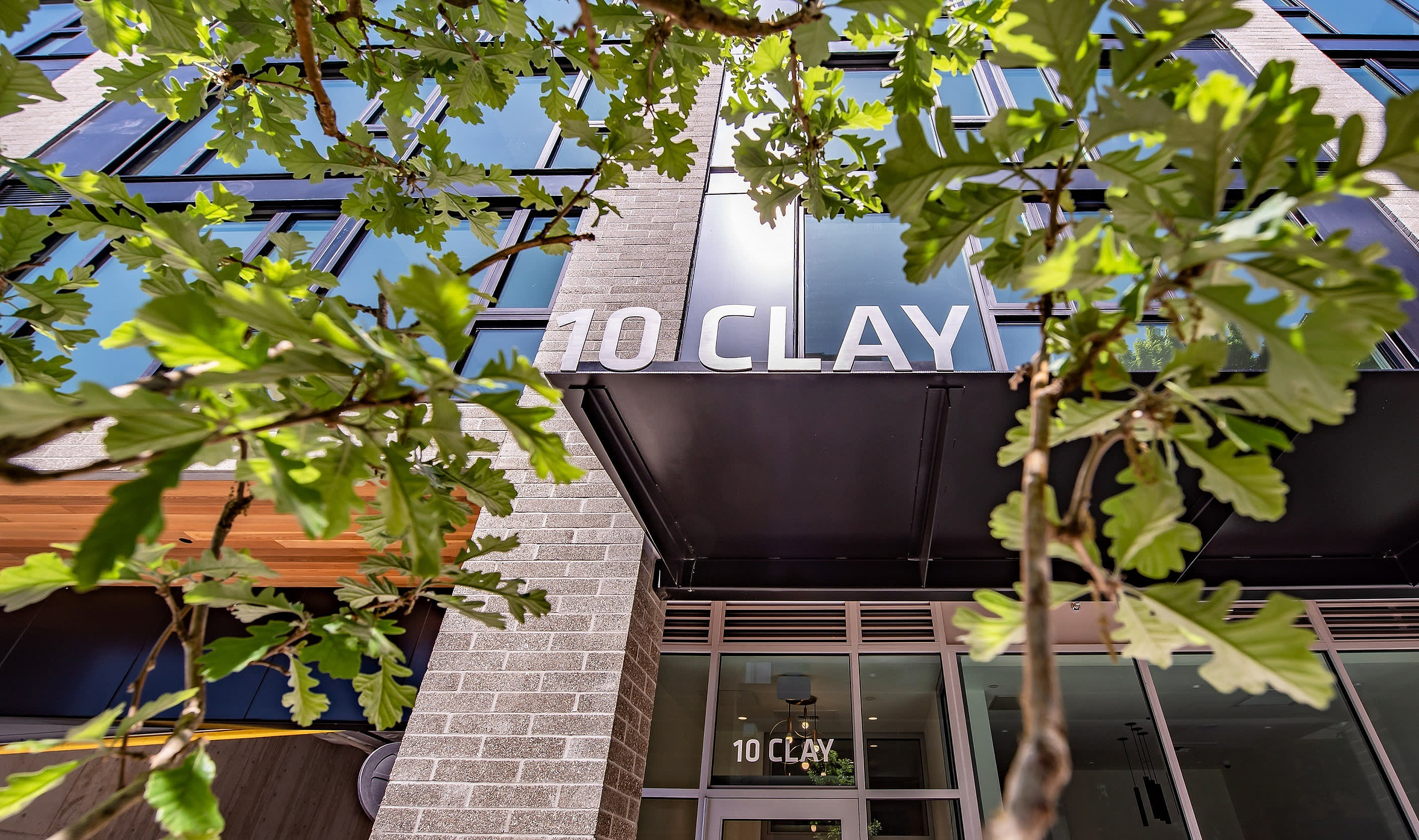 10 Clay – photo 4